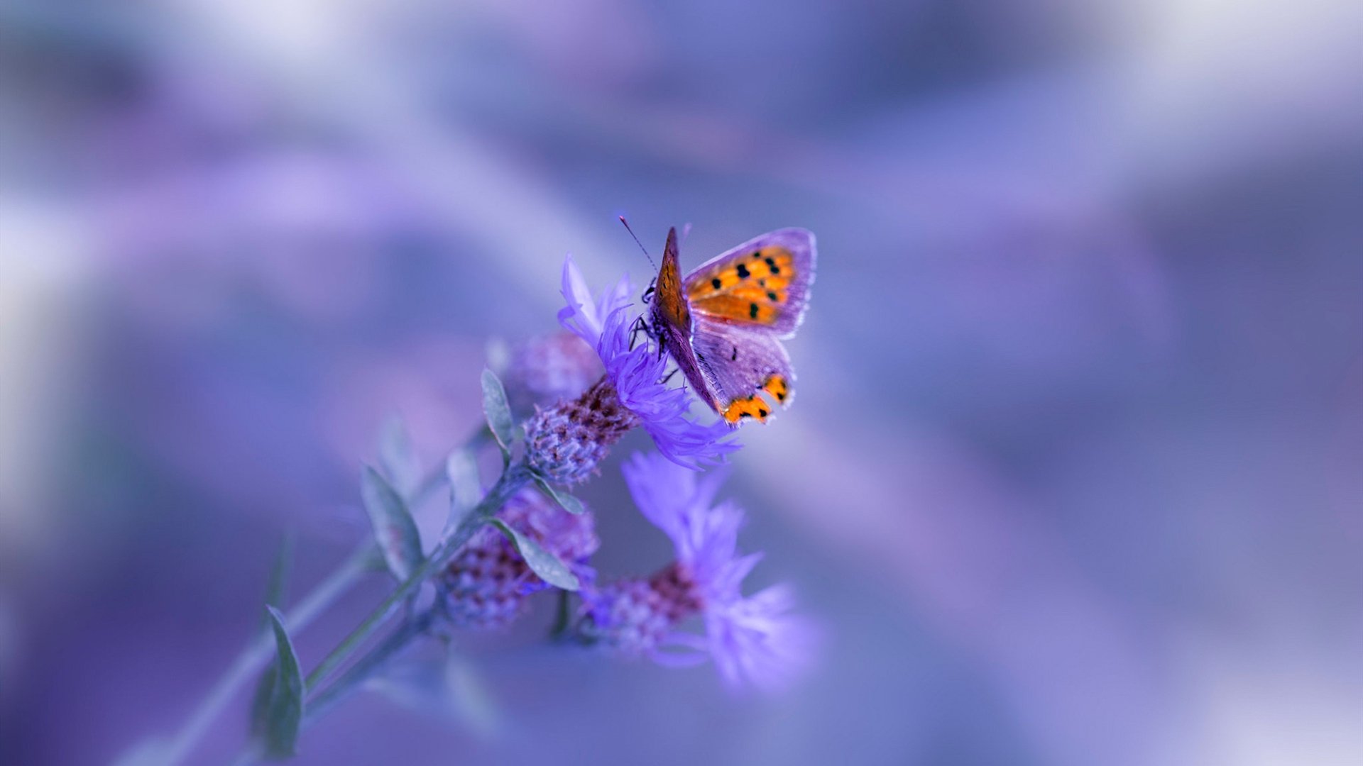 中超球队边路推进方式与得分模式对应,中超球队边路推进方式与得分模式对应关系