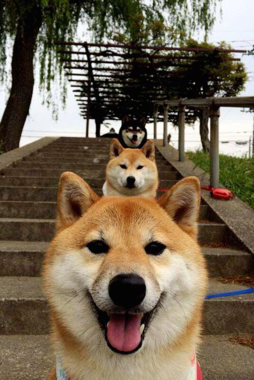 德甲球队研究高强度比赛中体能衰减与失误率关系，体能衰退