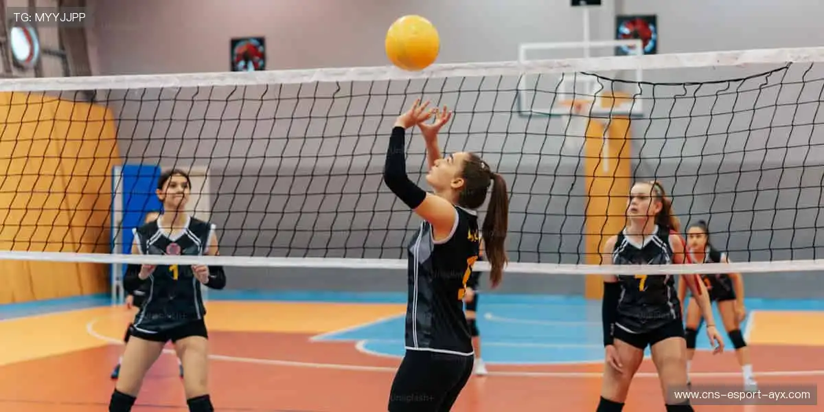 高清直播，随时随地！📱