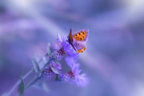 爱游戏中国官方网站平台-中超球队边路推进方式与得分模式对应，中超球队边路推进方式与得分模式对应关系