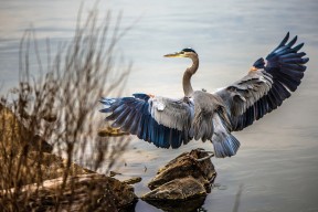 爱游戏体育app网页版下载-NBA明星球员赛季表现预测,nba明星榜