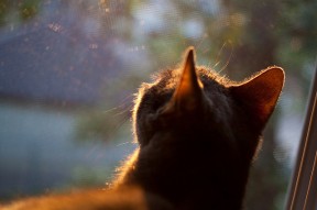 爱游戏在线娱乐官网-体育产业技术创新成果，体育产业创新创业的内容及基本流程有哪些