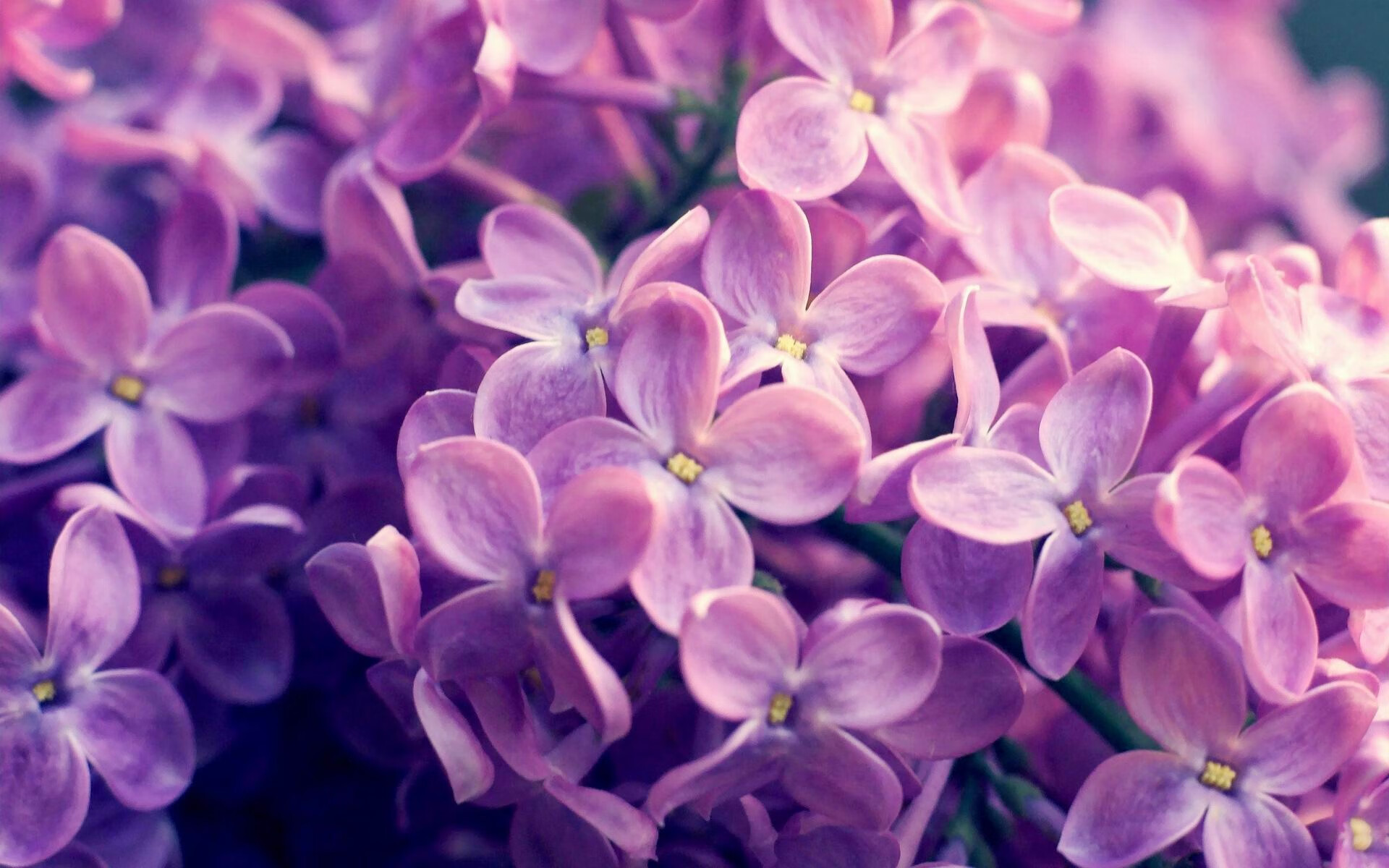 NBA常规赛东部强队鏖战四节,nba常规赛东部强队鏖战四节多少分钟