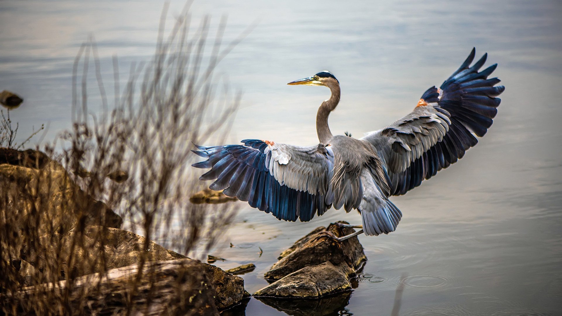 NBA明星球员赛季表现预测,nba明星榜